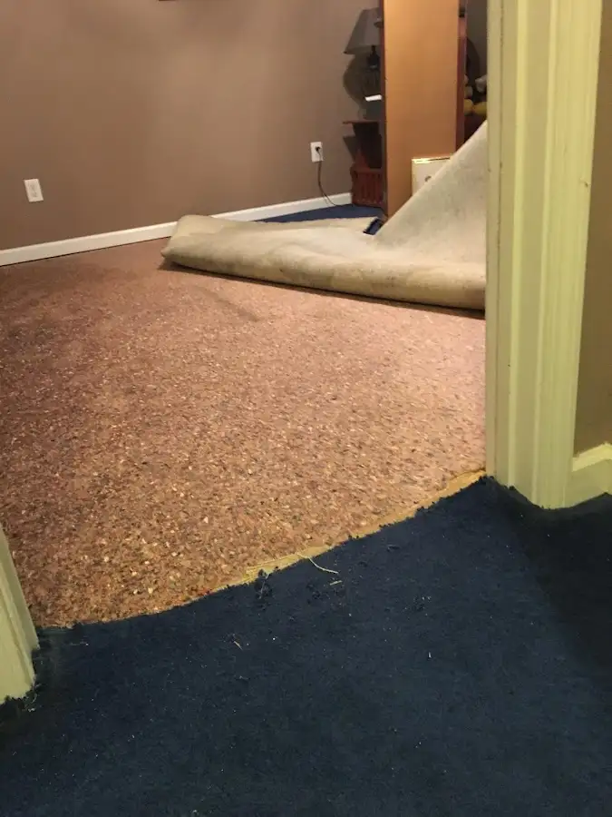 Carpet pad removal revealing water damage during Drying & Dehumidification in Pharr