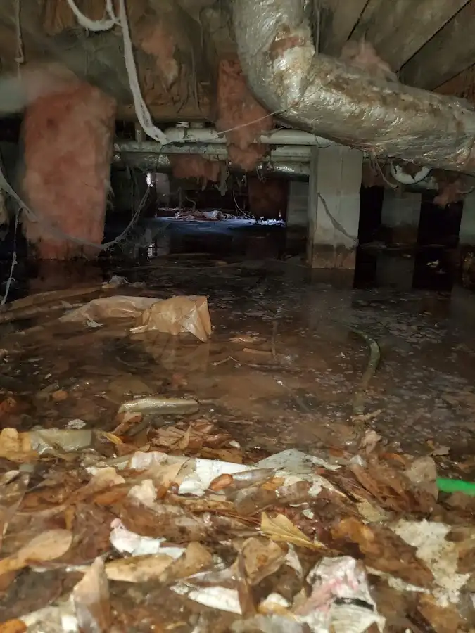Crawl space flood assessment for Commercial Water Damage Restoration in Pharr