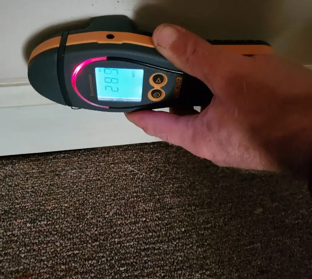 Moisture detection at baseboard during Mold Inspection & Testing in Pharr